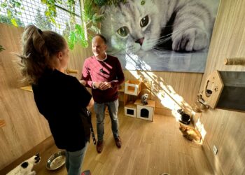 Fuengirola mantiene activa la campaña de adopción gratuita de mascotas y pide colaboración contra el abandono animal