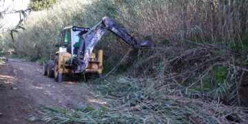 El Ayuntamiento de Mijas limpia los cauces de los arroyos para prevenir inundaciones e incendios