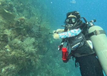 Andrea Agüera, la casareña que se abre paso en el buceo científico