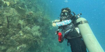 Andrea Agüera, la casareña que se abre paso en el buceo científico