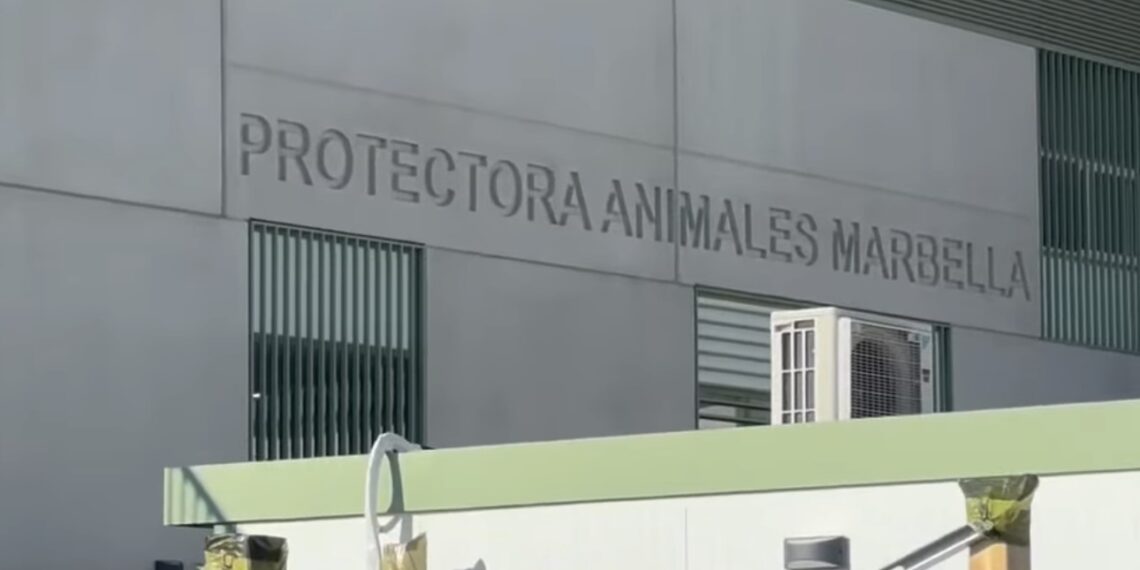 Absueltos los responsables de la asociación de acogida de animales Triple A de Marbella acusados de maltrato