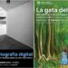 La Diputación oferta una docena de actividades culturales para la próxima semana en la capital y la provincia