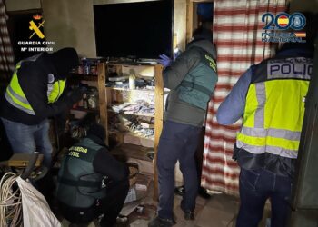 Dieciocho detenidos tras caer red dedicada a transportar droga desde Málaga hasta países europeos