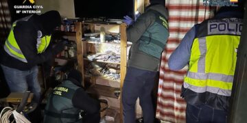 Dieciocho detenidos tras caer red dedicada a transportar droga desde Málaga hasta países europeos