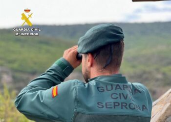 Investigadas 60 personas por delitos contra la ordenación del territorio y el urbanismo en Málaga