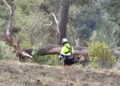 Los trabajos de prevención de incendios llegan a los montes de la provincia