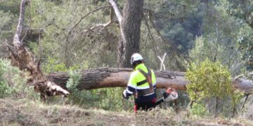 Los trabajos de prevención de incendios llegan a los montes de la provincia