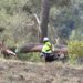 Los trabajos de prevención de incendios llegan a los montes de la provincia