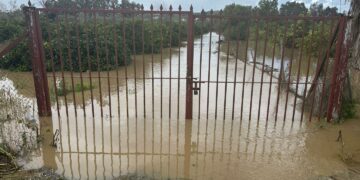 Inundaciones en Secadero por el desbordamiento del río Guadiaro