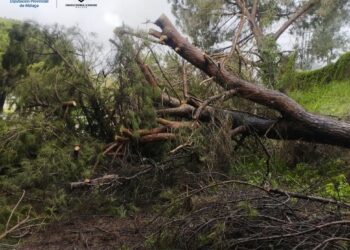 Gestionadas 90 incidencias por la lluvia y el viento durante la noche en Andalucía
