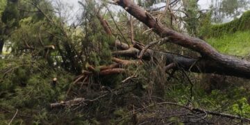 Gestionadas 90 incidencias por la lluvia y el viento durante la noche en Andalucía