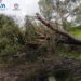 Gestionadas 90 incidencias por la lluvia y el viento durante la noche en Andalucía
