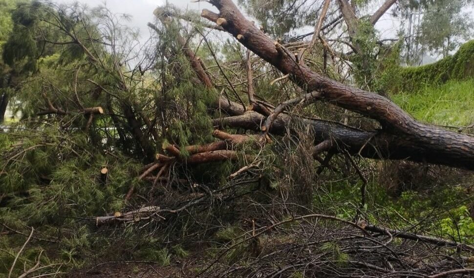 Gestionadas 90 incidencias por la lluvia y el viento durante la noche en Andalucía