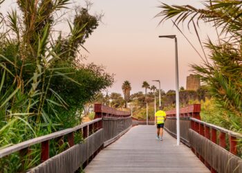 Una docena de empresas optan a ejecutar el nuevo tramo del corredor litoral que avanzará por la zona de Matas Verdes