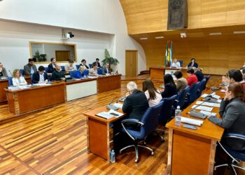 El Pleno aprueba por unanimidad iniciar el expediente para nombrar a Manuel López Ayala Hijo Predilecto de Fuengirola