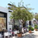 Estepona saca a concurso la explotación del Mercado de Abastos como nuevo espacio de hostelería, restauración y venta de productos