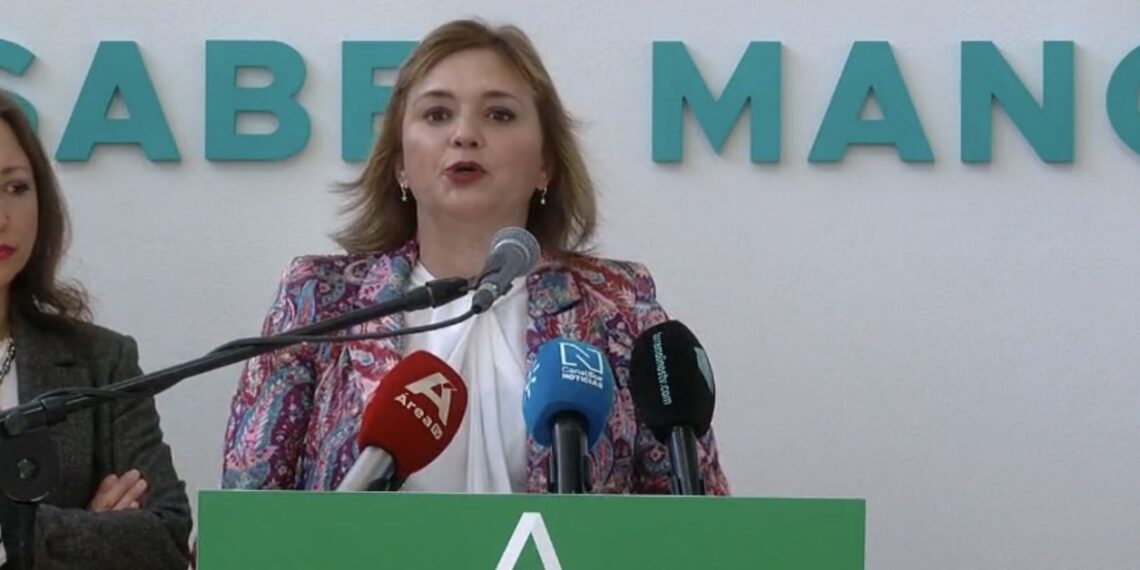 Margarita Del Cid, en defensa de las familias de El Calvario: «Llamo a todas las fuerzas políticas a actuar en unidad por nuestros vecinos»