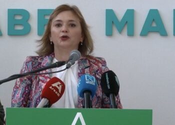 Margarita Del Cid, en defensa de las familias de El Calvario: «Llamo a todas las fuerzas políticas a actuar en unidad por nuestros vecinos»