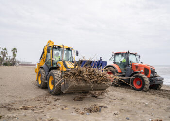 Estepona intensifica la limpieza en las playas y retira más de 12.000 metros cúbicos de cañas por el temporal
