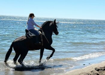 La Ruta Ecuestre convierte a Mijas en capital del caballo por un día