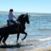 La Ruta Ecuestre convierte a Mijas en capital del caballo por un día