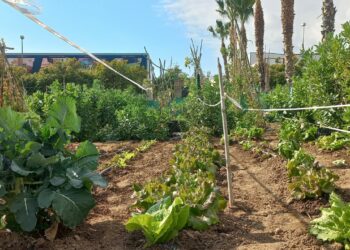 El Ayuntamiento de Torremolinos abre el plazo para solicitar una parcela en los Huertos Urbanos