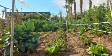 El Ayuntamiento de Torremolinos abre el plazo para solicitar una parcela en los Huertos Urbanos