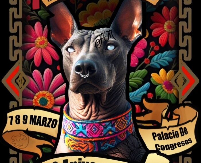 Conciertos, desfiles, exposiciones, carnavales, 8M o la X ExpoTatto: los mejores planes para este fin de semana