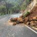 Retiradas unas rocas desprendidas por las lluvias en carreteras de Genalguacil y Jubrique