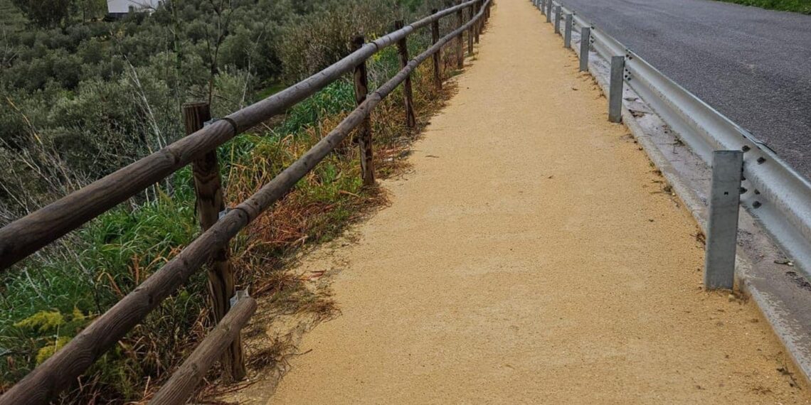 ¡Roban 50 metros de palos de madera de una baranda de una senda peatonal!