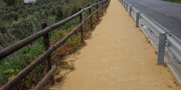¡Roban 50 metros de palos de madera de una baranda de una senda peatonal!