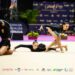 El Grand Prix Marbella se confirma como uno de los eventos internacionales más prestigiosos del mundo de la gimnasia
