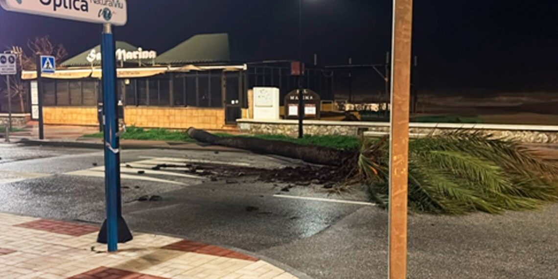 Torremolinos pone en marcha un plan de choque para la retirada de cañas de las playas tras el temporal