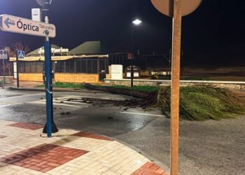 Torremolinos pone en marcha un plan de choque para la retirada de cañas de las playas tras el temporal