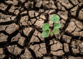 Andalucía reduce un 9,5% la emisión de gases per cápita, por encima de la media nacional y europea