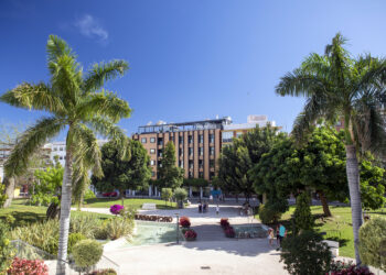 El Ayuntamiento proyecta la remodelación integral de una veintena de calles y plazas del entorno del Orquidario