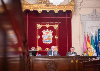Málaga avanza en la extinción de las 25 licencias de coches de caballo