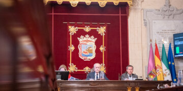 Málaga avanza en la extinción de las 25 licencias de coches de caballo