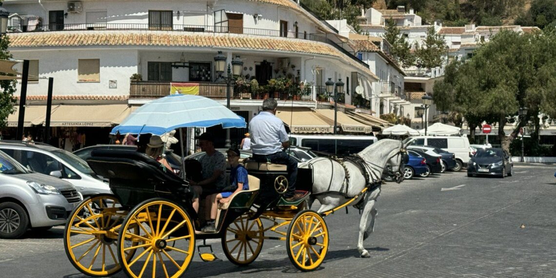 Mijas limita los burro taxi y coches de caballos bajo alertas de calor activadas por la Aemet
