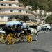 Mijas limita los burro taxi y coches de caballos bajo alertas de calor activadas por la Aemet