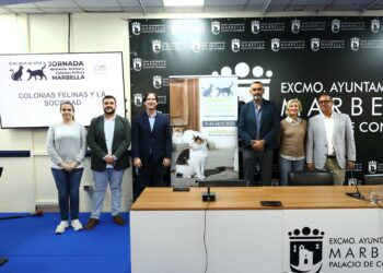 Especialistas analizan en Marbella la correcta gestión de las colonias felinas en la primera edición de las jornadas sobre bienestar animal