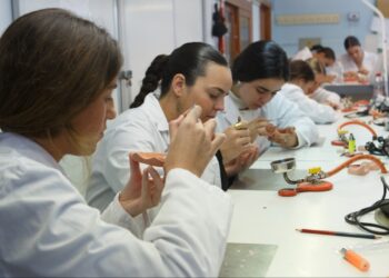 41 participantes malagueños participarán en Jaén en la fase regional de las Olimpiadas de FP