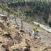 La Junta continua con las obras de reparación de la A-397 estableciendo una malla de contención en la ladera