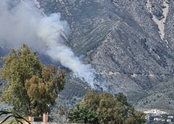 El Infoca dio por controlado el incendio forestal en el paraje Valtocado cuatro horas después de declararse