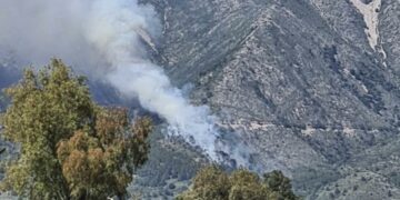 El Infoca dio por controlado el incendio forestal en el paraje Valtocado cuatro horas después de declararse