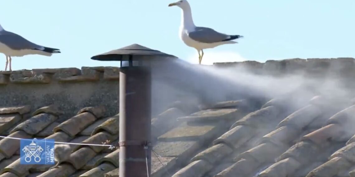 Fumata blanca, hay nuevo Papa