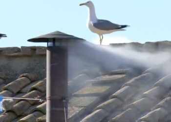 Fumata blanca, hay nuevo Papa