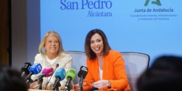 La Junta licita la redacción del proyecto del intercambiador de transporte de San Pedro Alcántara
