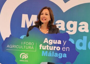 Navarro: “Sólo el desequilibrio territorial en las inversiones del Gobierno explica el abandono de las infraestructuras en Málaga”