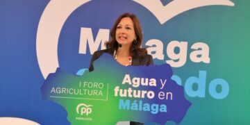 Navarro: “Sólo el desequilibrio territorial en las inversiones del Gobierno explica el abandono de las infraestructuras en Málaga”